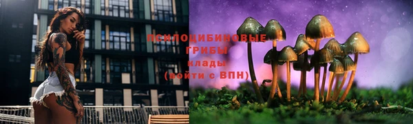 mdpv Остров